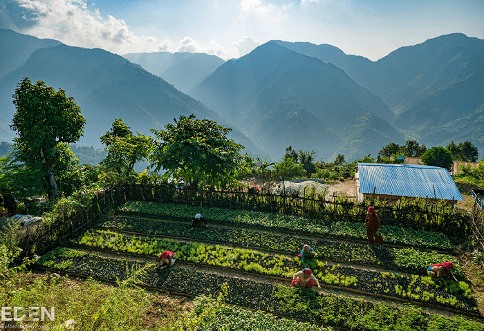 Offizieller Partner des Eden Projects