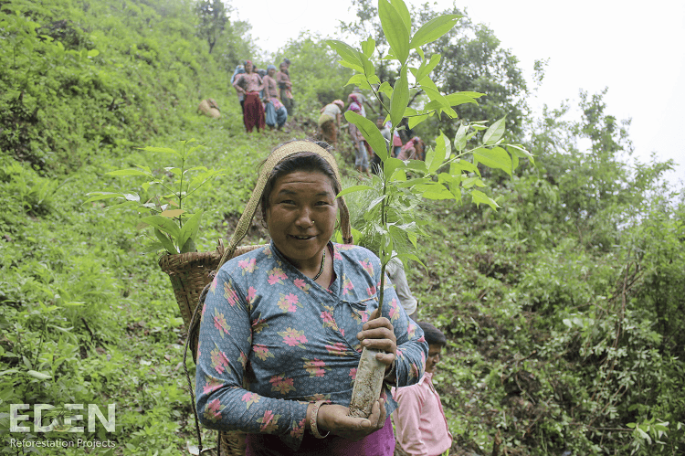 Offizieller Partner des Eden Projects